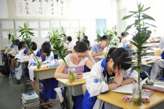 中学语文综合提升班——经典文学与写作
